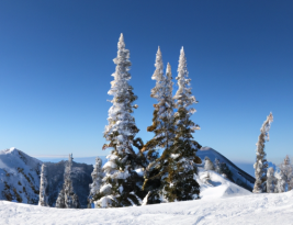 Where to Ski in Washington